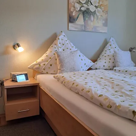 Wein- Und Gaestehaus Lentes Penzion Trittenheim