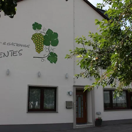 Penzion Wein- Und Gaestehaus Lentes Trittenheim