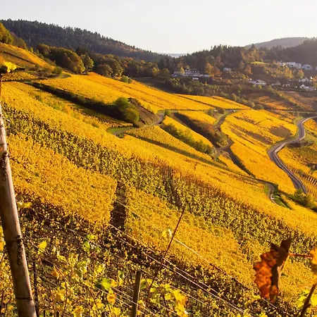 Wein- Und Gaestehaus Lentes Penzion