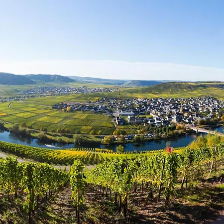 Wein- Und Gaestehaus Lentes 3* Trittenheim