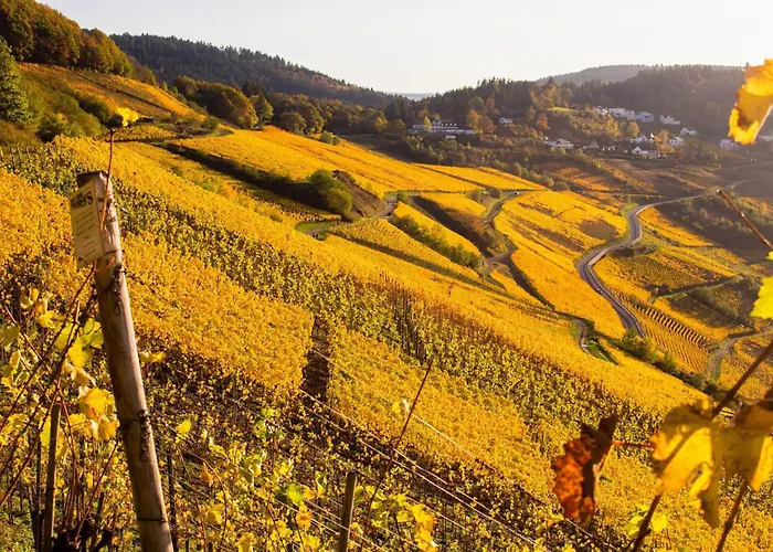 Wein- Und Gaestehaus Lentes Guest house